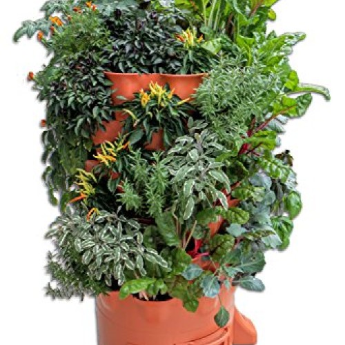 Garden Tower 2