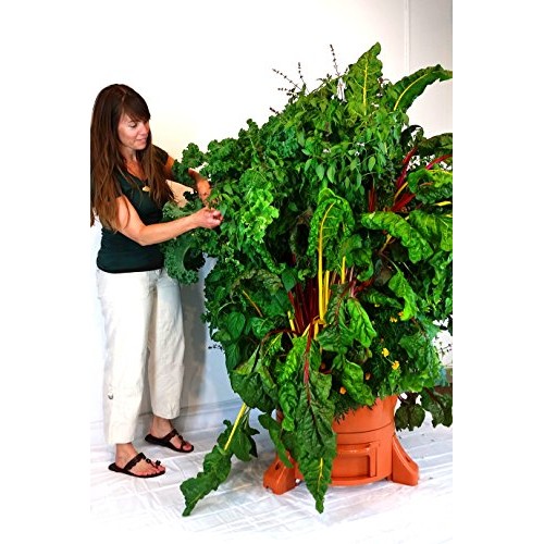 Garden Tower 2