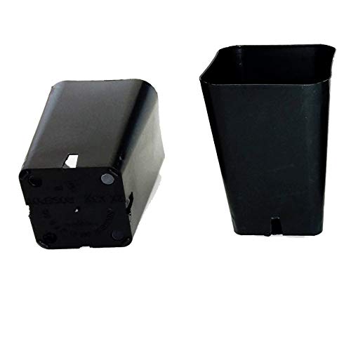 30 Seed Starting - 2 1/4 Square X 3 1/4 Deep Black Plastic Rose ...