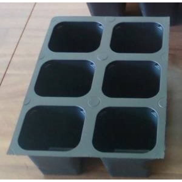 Seed starter trays 432 LARGE CELLS total 72 trays of 6 cells each
