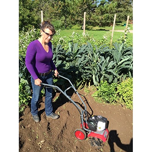 GardenTrax 4 Cycle Mini Cultivator