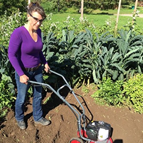 GardenTrax 4 Cycle Mini Cultivator