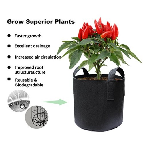 Gardzen 10-Pack 15 Gallon Grow Bags, Aeration Fabric Pots with Han...