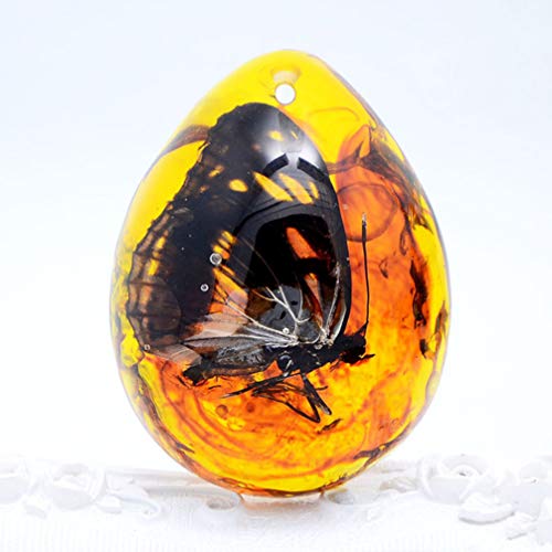 Garneck 4pcs Amber Insect Specimens Crafts,DIY Insect Beeswax Pend...
