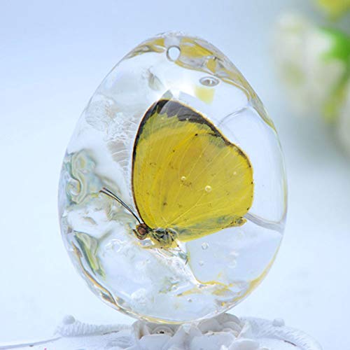 Garneck 4pcs Amber Insect Specimens Crafts,DIY Insect Beeswax Pend...