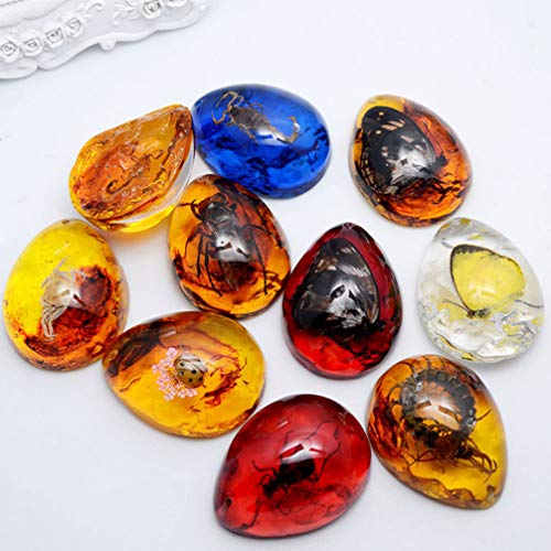 Garneck 4pcs Amber Insect Specimens Crafts,DIY Insect Beeswax Pend...