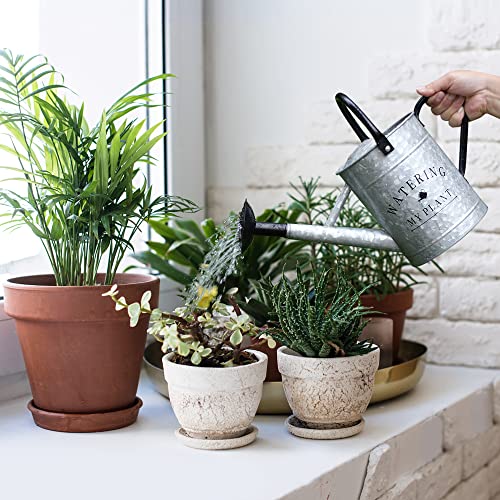 Garutom Galvanized Watering Can for Outdoor Plants, 1 Gallon Decor...