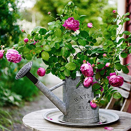 Garutom Galvanized Watering Can for Outdoor Plants, 1 Gallon Decor...
