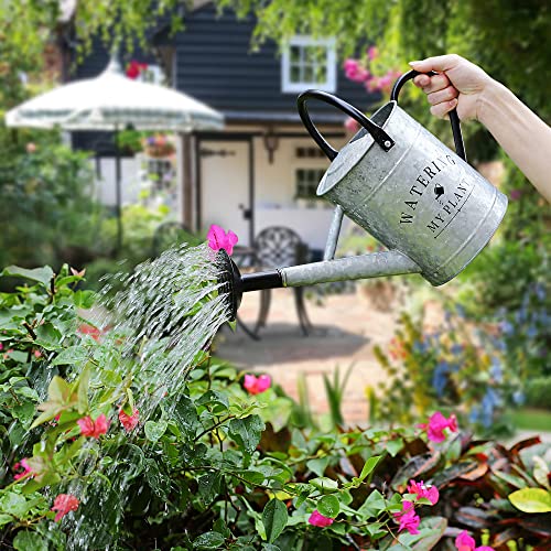 Garutom Galvanized Watering Can for Outdoor Plants, 1 Gallon Decor...