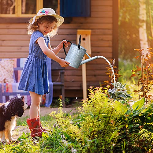 Garutom Galvanized Watering Can for Outdoor Plants, 1 Gallon Decor...
