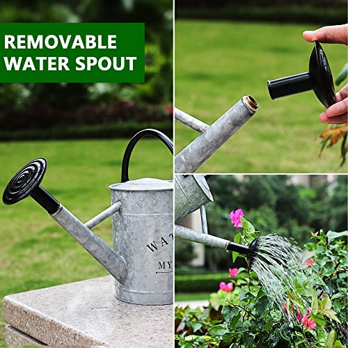 Garutom Galvanized Watering Can for Outdoor Plants, 1 Gallon Decor...