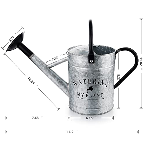 Garutom Galvanized Watering Can for Outdoor Plants, 1 Gallon Decor...