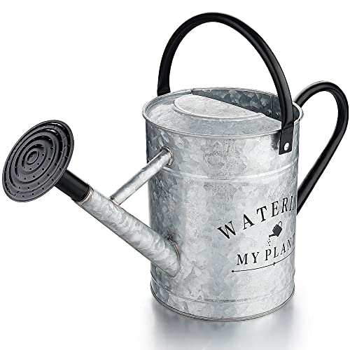 Garutom Galvanized Watering Can for Outdoor Plants, 1 Gallon Decor...