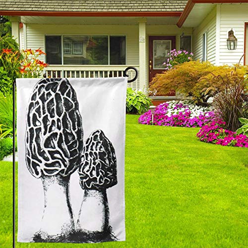 Gavikiss Double Sided Garden Flag, Black Morel Garden Flag for Far...