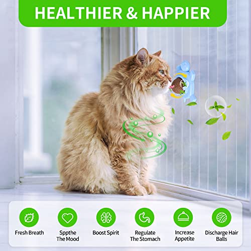 GBSYU Catnip Ball ‖ Catnip Balls for Cats Wall: silvervine for Cat...