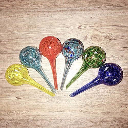 6 PCS Glass Irrigation Ball/Green Potted Plants Drip Irrigation Eq...