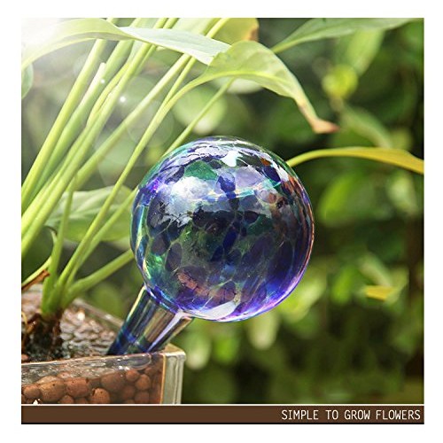 6 PCS Glass Irrigation Ball/Green Potted Plants Drip Irrigation Eq...