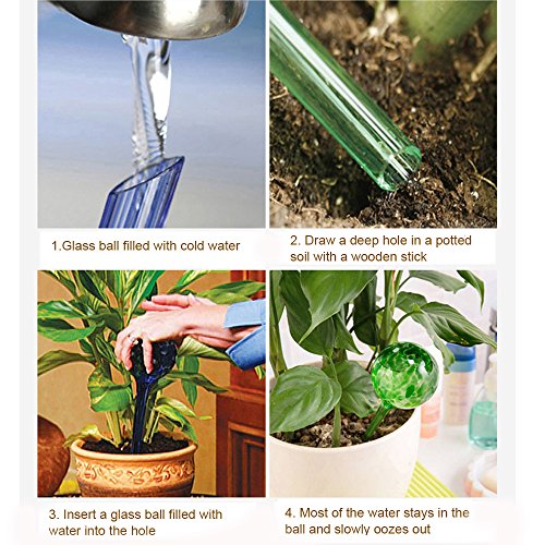 6 PCS Glass Irrigation Ball/Green Potted Plants Drip Irrigation Eq...