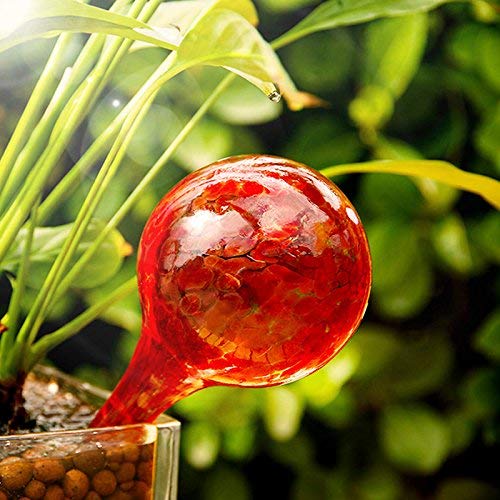 GDGY 2 pcs Glass Watering Sphere/Green Potted Plants Drip Irrigati...