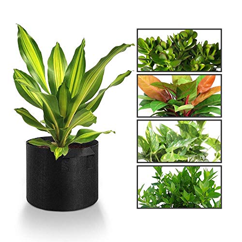 gecook 10-Pack 4 Gallon Plant Grow Bags Environmentally Protection...