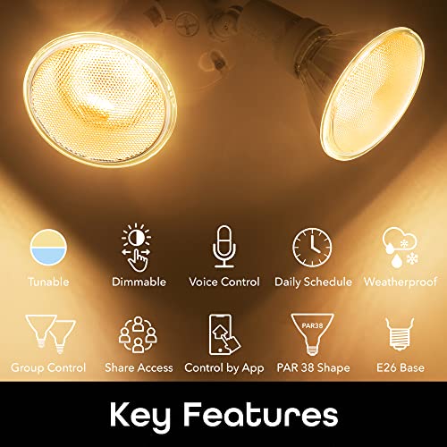 Geeni LUX Smart Floodlight, White – Outdoor 2700K-6500K Dimmable L...
