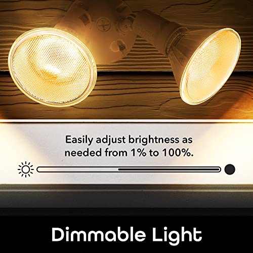 Geeni LUX Smart Floodlight, White – Outdoor 2700K-6500K Dimmable L...