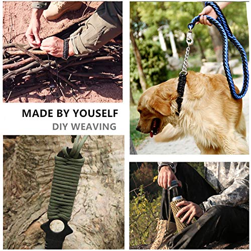 GeGeDa Paracord 9 Core 550 Parachute Cord Camping Rope 100FT