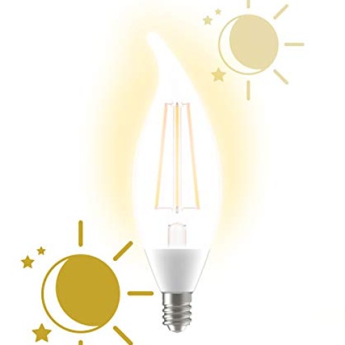GE Lighting LED+ Dusk to Dawn LED Light Bulbs with Sunlight Sensor...
