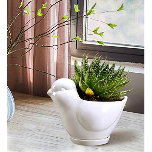 GeLive White Bird Ceramic Succulent Planter Animal Plant Pot Flowe...