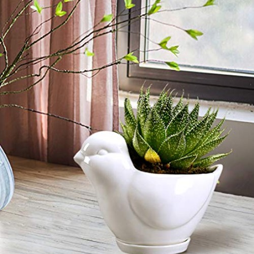 GeLive White Bird Ceramic Succulent Planter Animal Plant Pot Flowe...