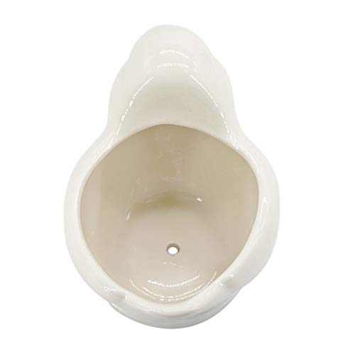 GeLive White Bird Ceramic Succulent Planter Animal Plant Pot Flowe...