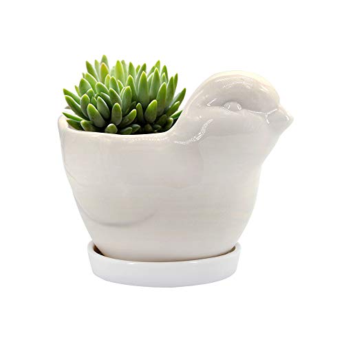 GeLive White Bird Ceramic Succulent Planter Animal Plant Pot Flowe...