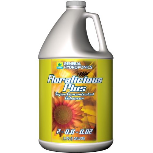 GH Floralicious Plus Gallon 4/Cs