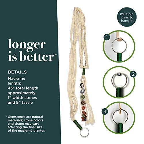 Chakra Stones Macramé Plant Hanger with Healing Crystals, Wall Pla...