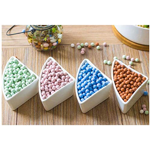 FamilyeShop Ceramsite Semi Hydroponics Soilless Live Plant Semi Hy...