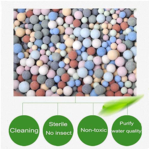 FamilyeShop Ceramsite Semi Hydroponics Soilless Live Plant Semi Hy...