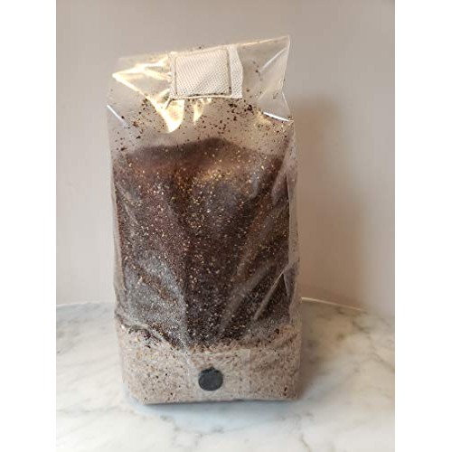 Sterilized rye Berry and Substrate All in one Mushroom 5 LB Bag wi...