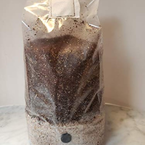 Sterilized rye Berry and Substrate All in one Mushroom 5 LB Bag wi...