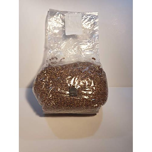 Sterilized Rye Berry Mushroom Grain Spawn 3 LB Bag with self Heali...