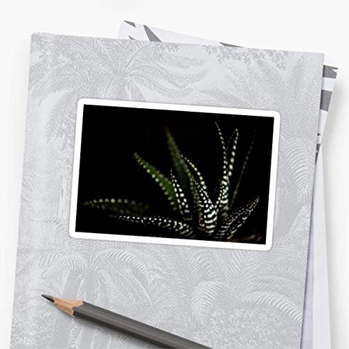 Stickers Haworthia Aloe Vera Cactus Succulent Plant White Spots La...
