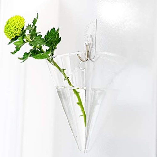 Pacdona 2 Pack Geometric Wall-Mounted Clear Glass Planter Vases fo...