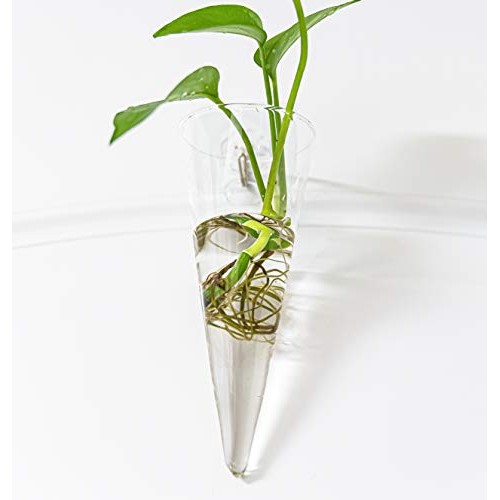 Pacdona 2 Pack Geometric Wall-Mounted Clear Glass Planter Vases fo...