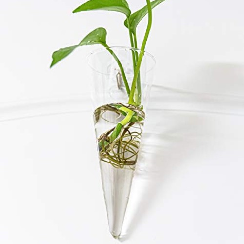 Pacdona 2 Pack Geometric Wall-Mounted Clear Glass Planter Vases fo...