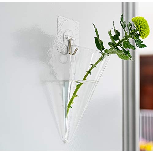 Pacdona 2 Pack Geometric Wall-Mounted Clear Glass Planter Vases fo...