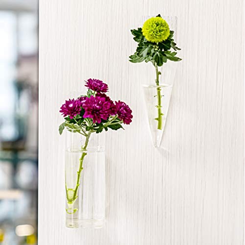 Pacdona 2 Pack Geometric Wall-Mounted Clear Glass Planter Vases fo...