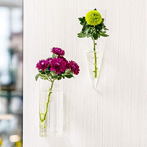 Pacdona 2 Pack Geometric Wall-Mounted Clear Glass Planter Vases fo...