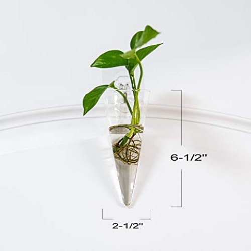 Pacdona 2 Pack Geometric Wall-Mounted Clear Glass Planter Vases fo...