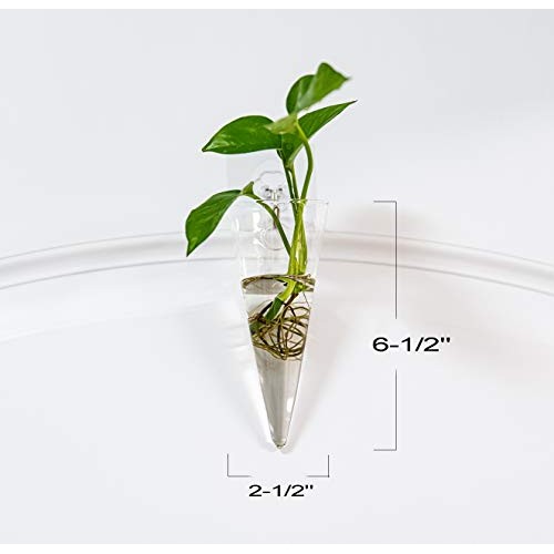 Pacdona 2 Pack Geometric Wall-Mounted Clear Glass Planter Vases fo...