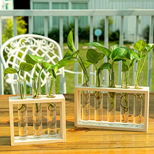 PACDONA Wall Hanging Glass Test Tube Planter Propagation Station G...