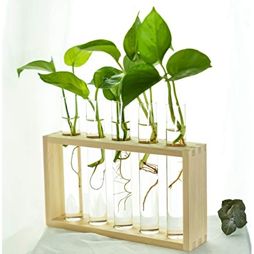PACDONA Wall Hanging Glass Test Tube Planter Propagation Station G...